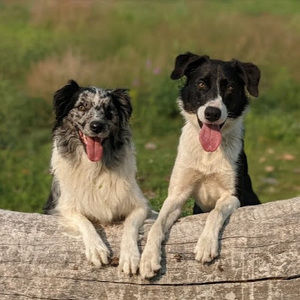 Meet your Posher, Avery